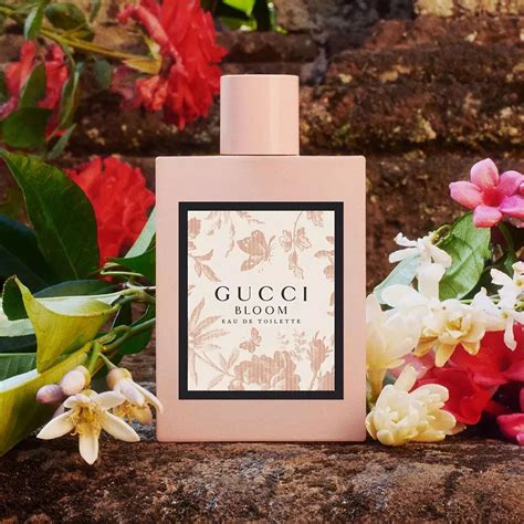 gucci bloom fragrantica club|gucci bloom original.